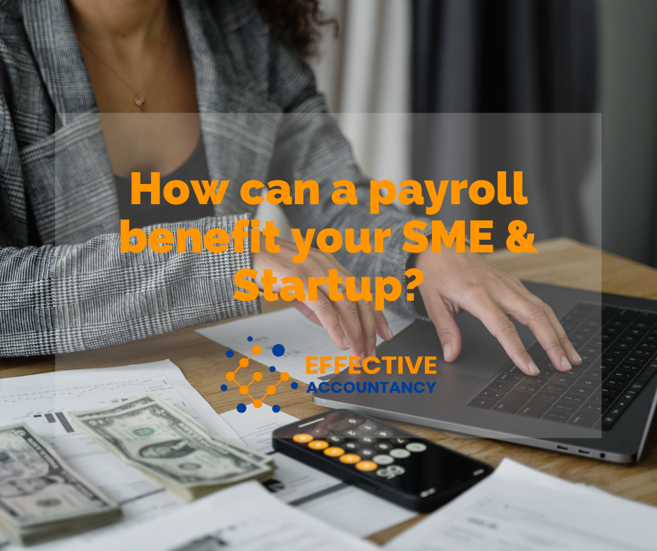 How can a payroll benefit your SME & Startup?